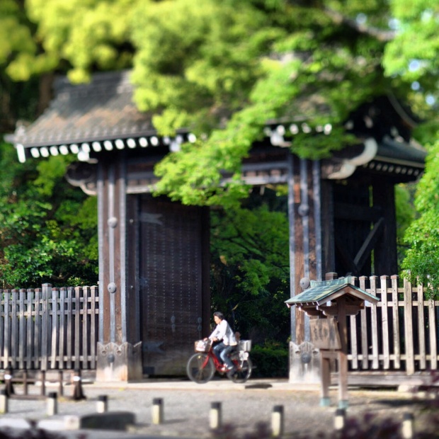 Tilt shift torii
